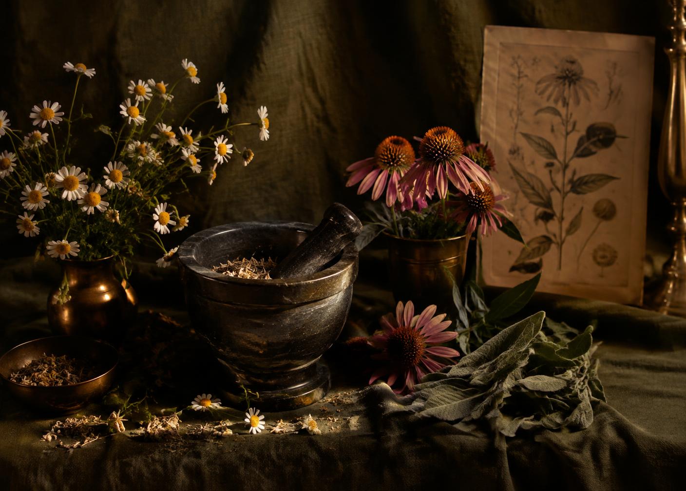 Medicinal plants with a mortar and pestle and a botanical print
